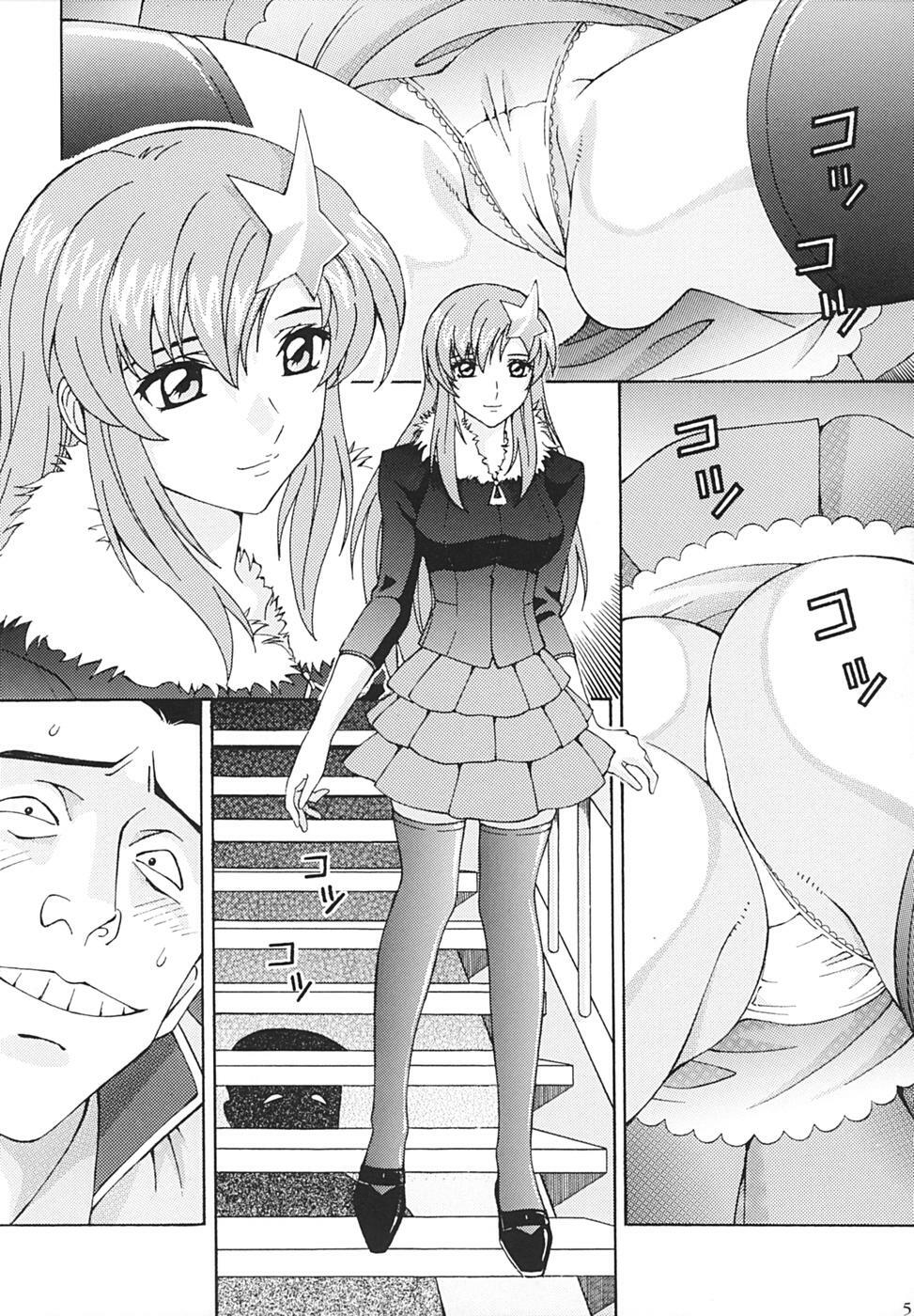 [SHIMEKIRI SANPUNMAE (Tukimi Daifuku)] Ryoujoku MEER (Mobile Suit Gundam SEED DESTINY) page 4 full