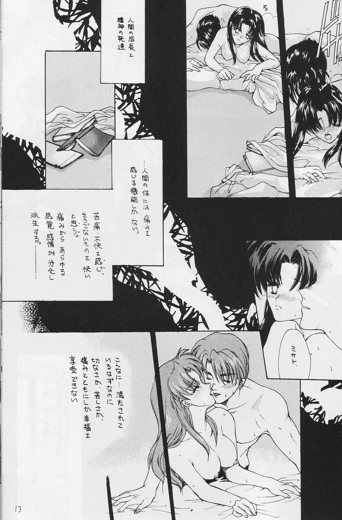 [Hanzai Tengoku (Hasei Agana)] CAIN (Neon Genesis Evangelion) page 12 full