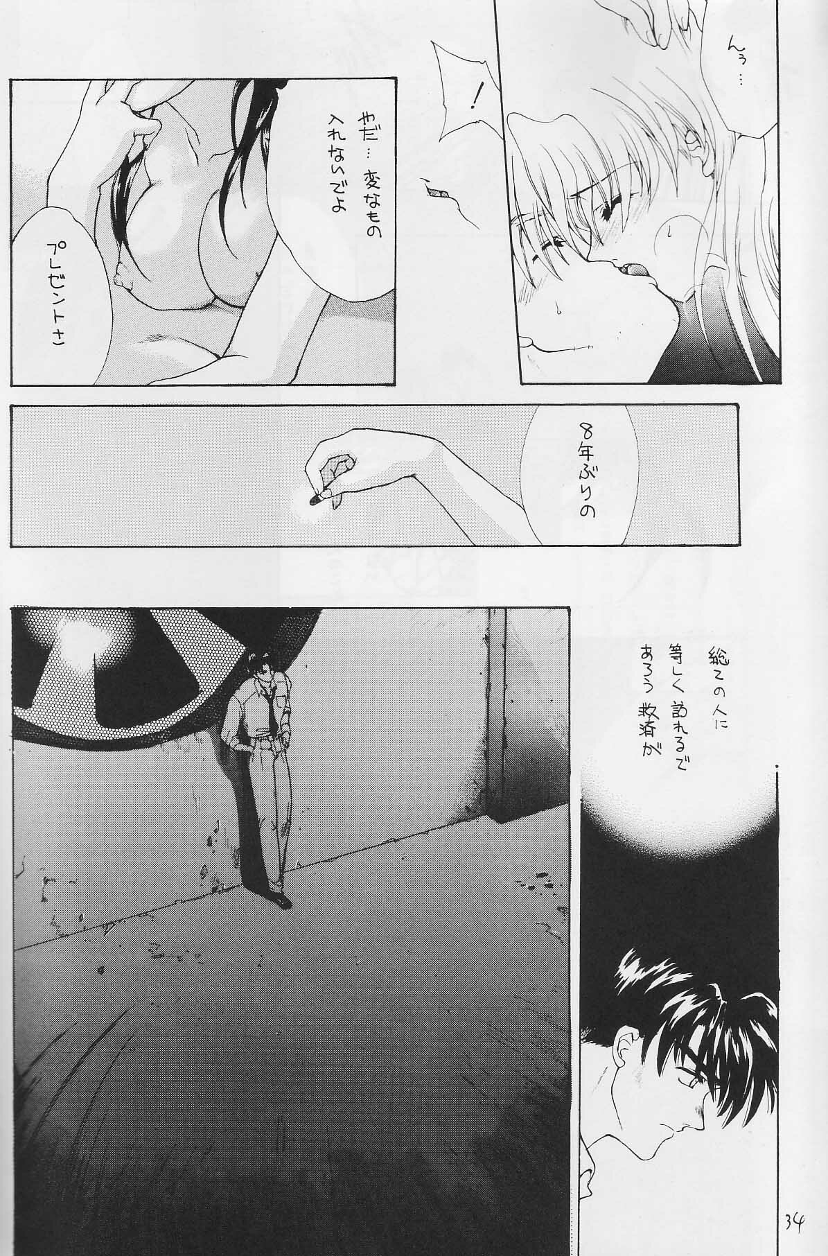 [Hanzai Tengoku (Hasei Agana)] CAIN (Neon Genesis Evangelion) page 33 full