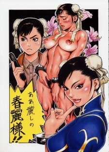(C60) [Tsukasa Bullet (Tsukasa Jun)] Tsukasa Bullet 2001 (Street Fighter) - page 27