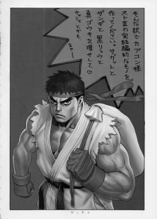 (C60) [Tsukasa Bullet (Tsukasa Jun)] Tsukasa Bullet 2001 (Street Fighter) - page 30