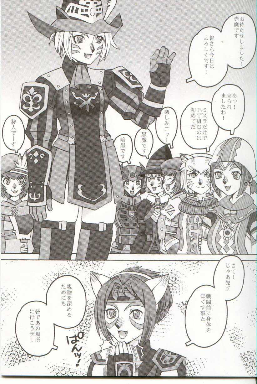 (C66) [Mederukai (Yoshino Koyuki)] Mithra o Mederu Hon 3+1 (Final Fantasy XI) page 4 full