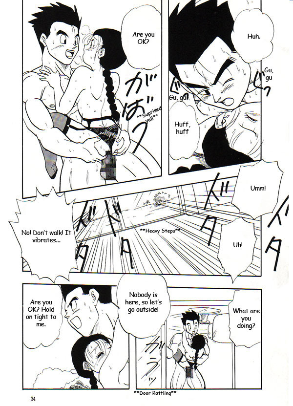 (C53) [Chirigami Goya, Fusuma Goten (Shouji Hariko)] HoHeTo (Dragon Ball GT) [English] page 33 full