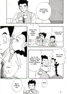 (C53) [Chirigami Goya, Fusuma Goten (Shouji Hariko)] HoHeTo (Dragon Ball GT) [English] - page 24