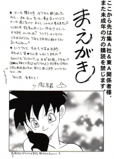 (C53) [Chirigami Goya, Fusuma Goten (Shouji Hariko)] HoHeTo (Dragon Ball GT) [English] - page 3