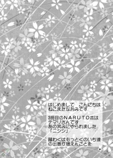 (C66) [NEKOMATAYA (Nekomata Naomi)] Hana Temari (Naruto) [English] [Doujin-World] - page 4