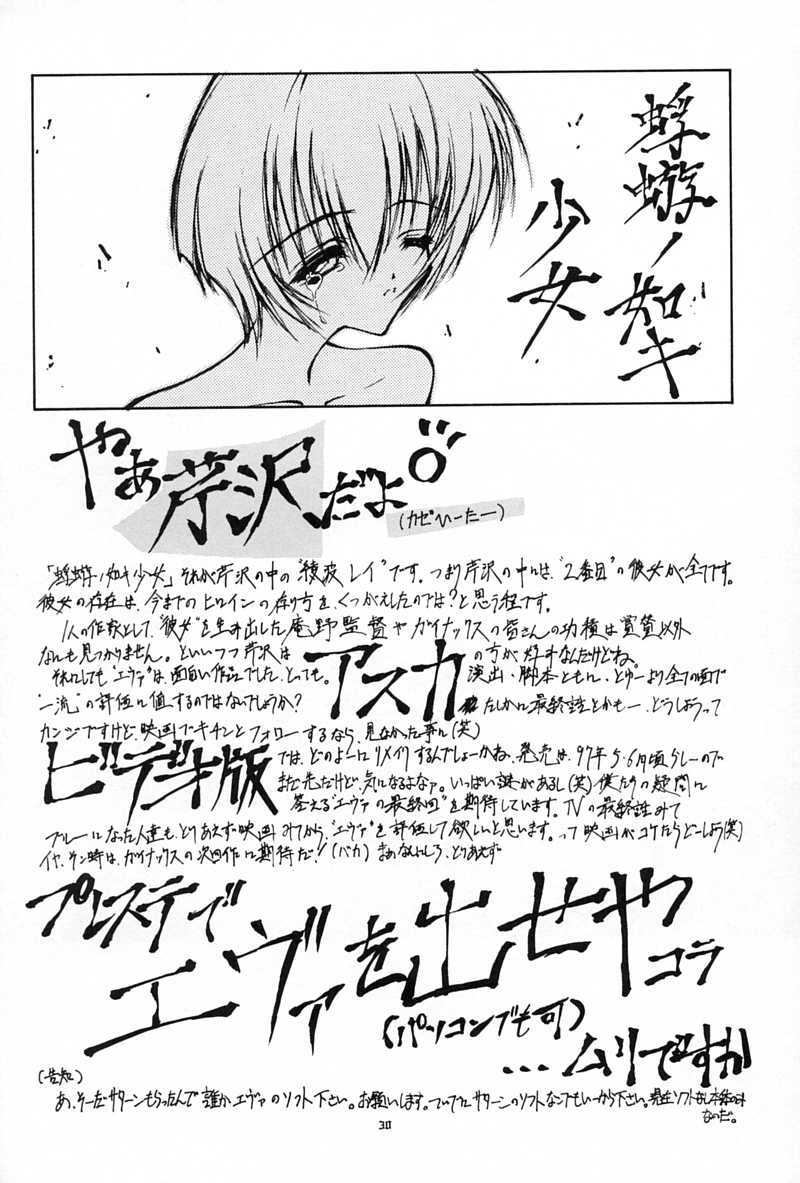 (CR21) [Blue Garnet (Serizawa Katsumi)] Blue Garnet Vol. 02 Ryoujoku (Neon Genesis Evangelion) page 29 full