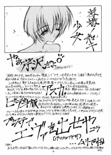 (CR21) [Blue Garnet (Serizawa Katsumi)] Blue Garnet Vol. 02 Ryoujoku (Neon Genesis Evangelion) - page 29