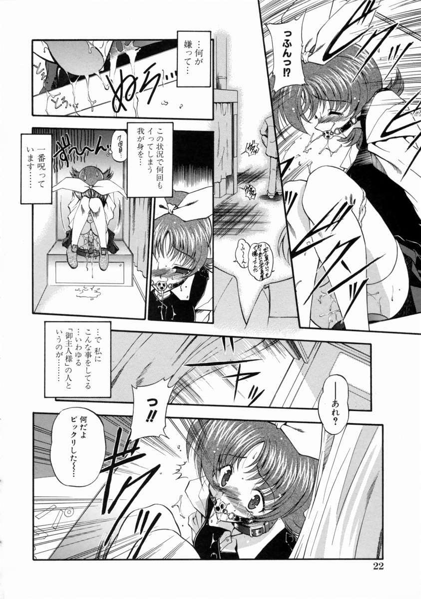 [Noraneko Nagaya] Reijou Shuukan page 28 full