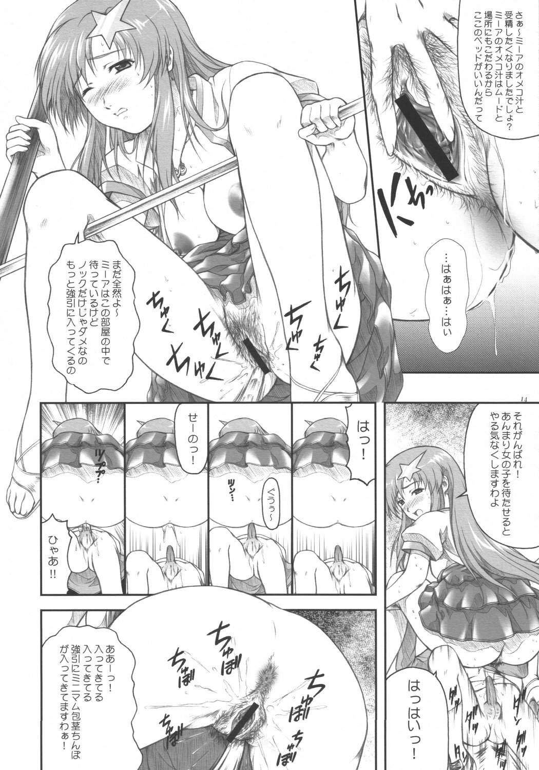 [OTOGIYA (Mizuki Haruto)] Idol Sengen! Meer Sensei! (Gundam SEED DESTINY) page 14 full