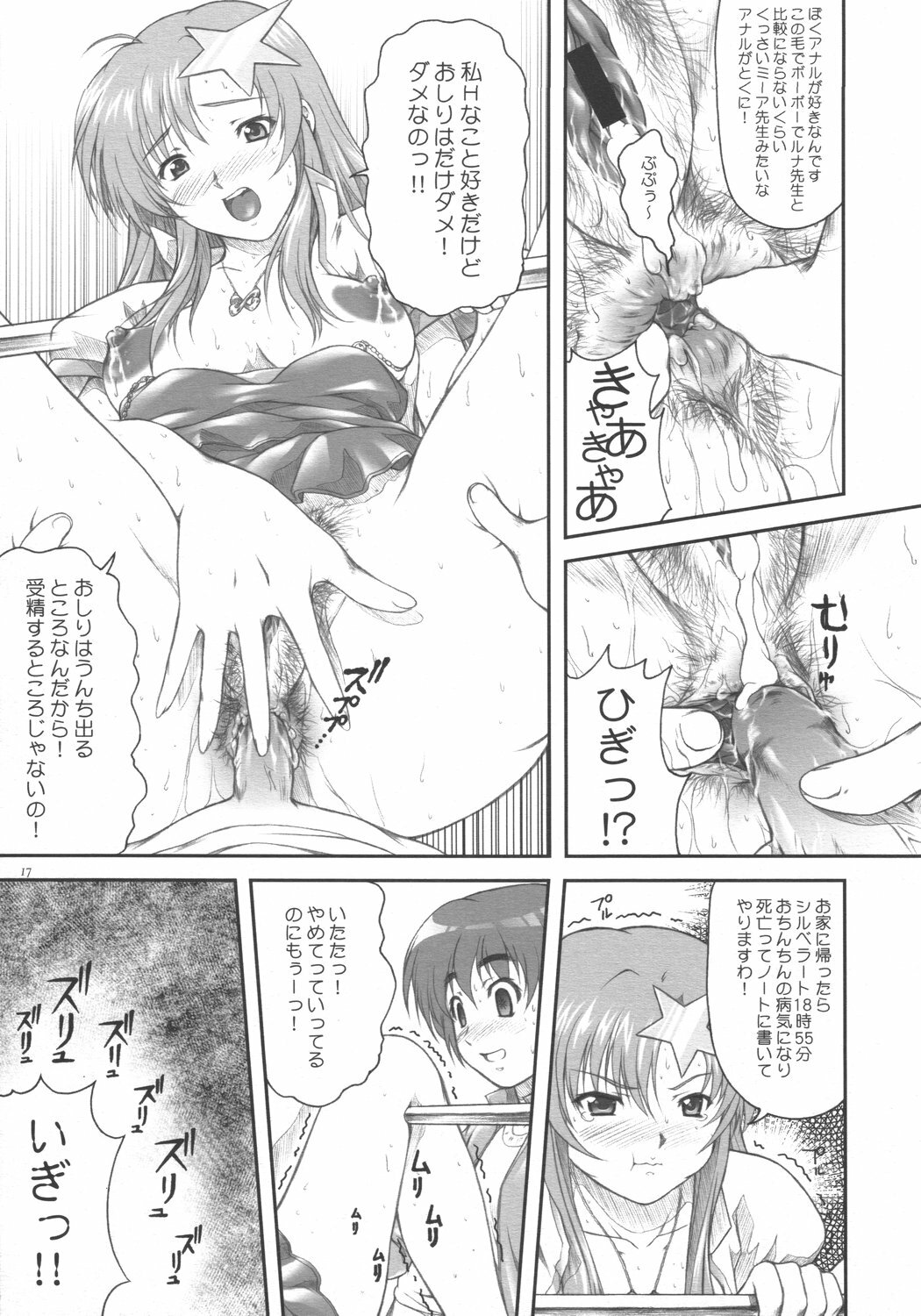[OTOGIYA (Mizuki Haruto)] Idol Sengen! Meer Sensei! (Gundam SEED DESTINY) page 17 full