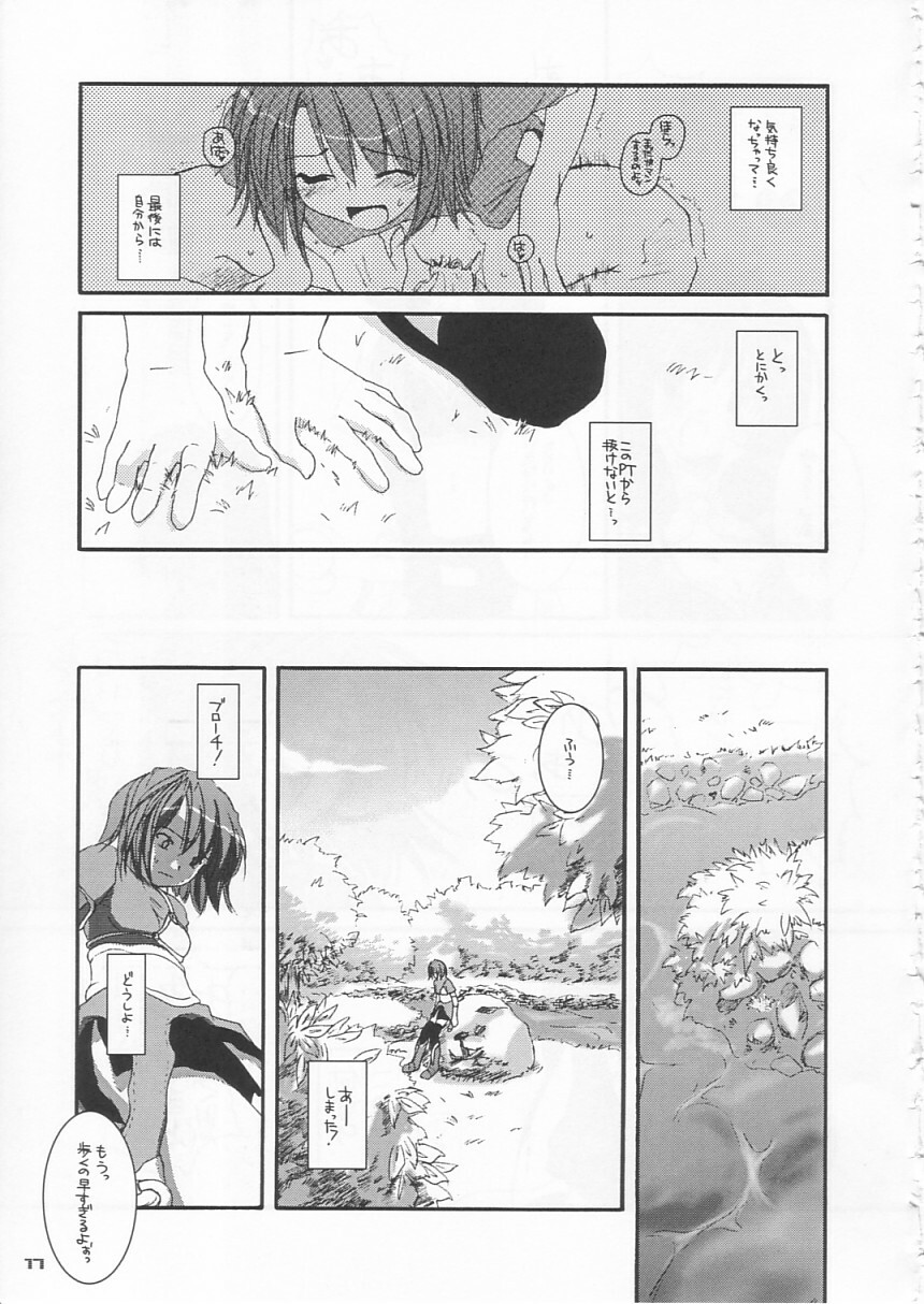 (C65) [Digital Lover (Nakajima Yuka)] D.L. action 21 (Ragnarok Online) page 17 full