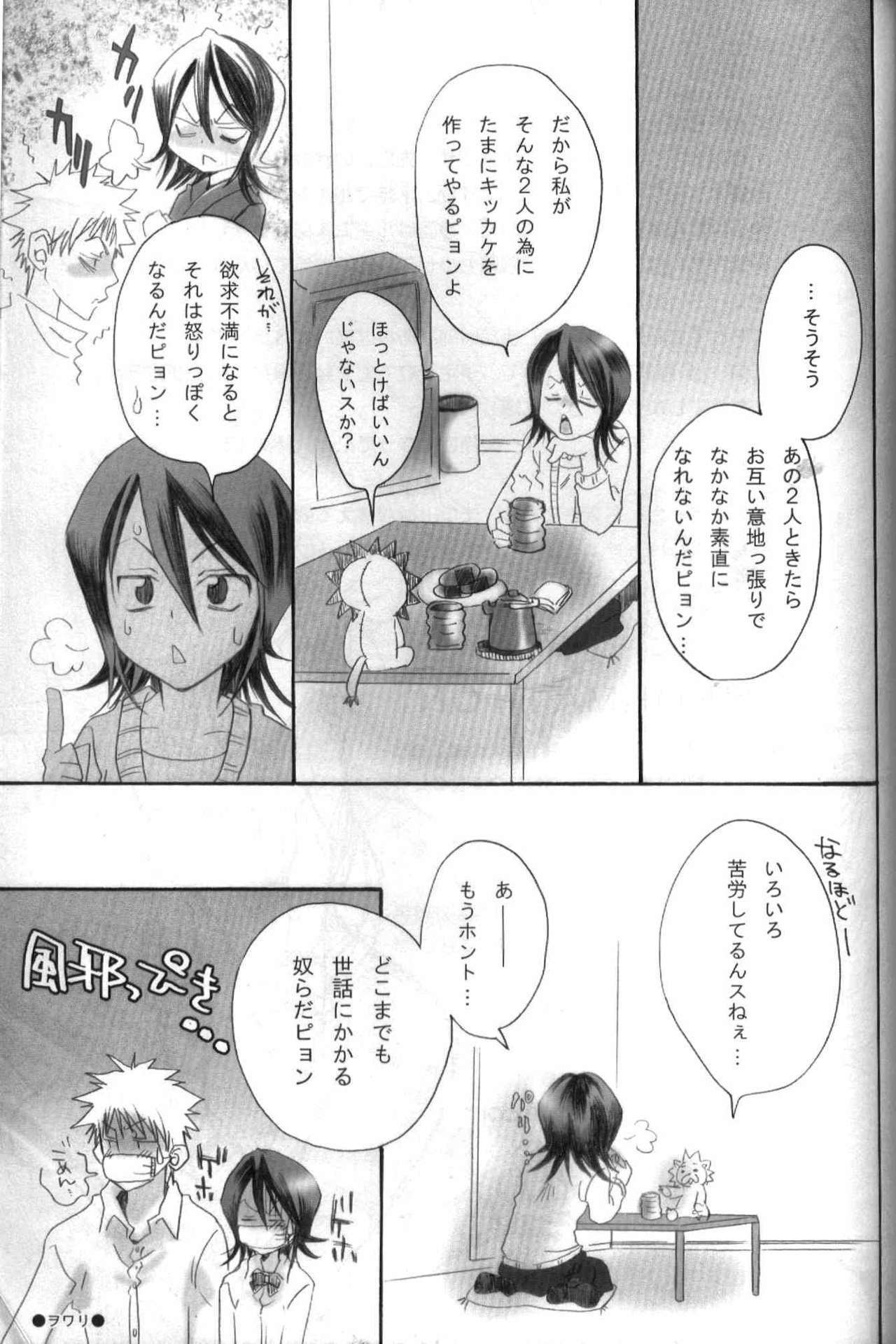 (C69) [Kurione-sha (YU-RI)] Pochi Honey | Petit Honey (Bleach) page 18 full