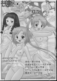 (C65) [PNO Group (Hase Yuu, Hikawa Yuuki)] Negima Chick Factory (Mahou Sensei Negima!) - page 3