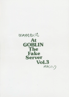 [ZINZIN] At Goblin The Fake Server Vol.3 (Final Fantasy XI) - page 18