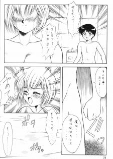 (C50) [Hime Club (Kirikaze, Koumorikaizin)] Hoshifubuki eve Venus at the 2015 A.D. (Neon Genesis Evangelion) - page 27