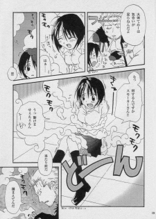 (C59) [Osakana Center (Various)] Saishuu Heiki (One Piece) - page 19