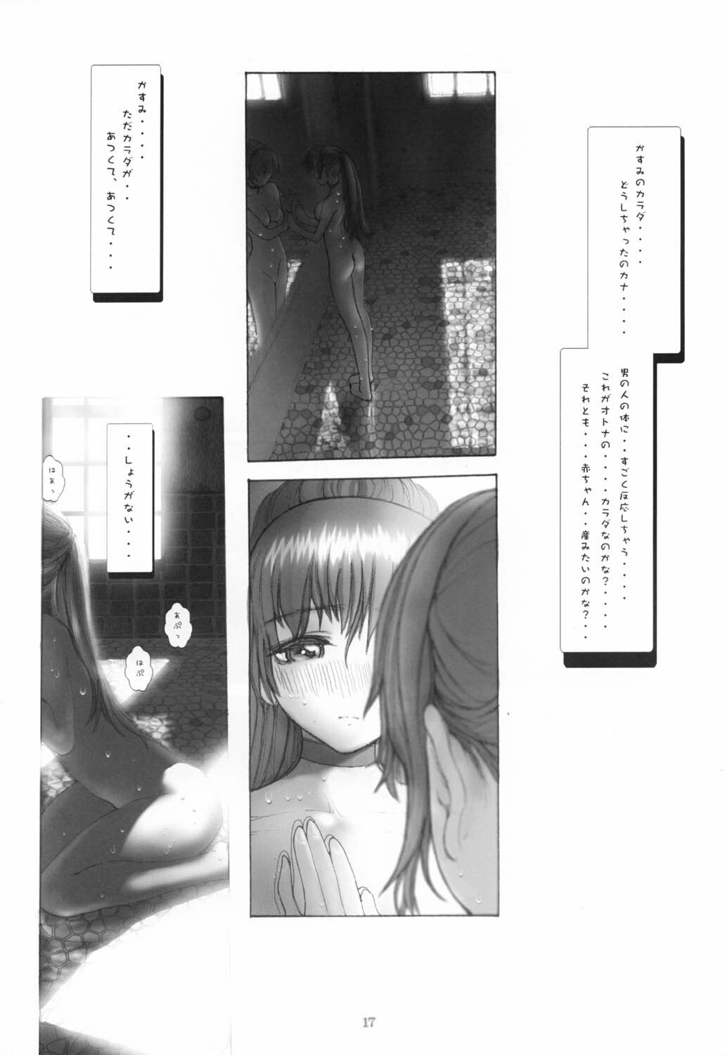 [RST Slave (Ebina Souichi)] Kasumi Hard Love 2 ver.2 (Dead or Alive) page 16 full