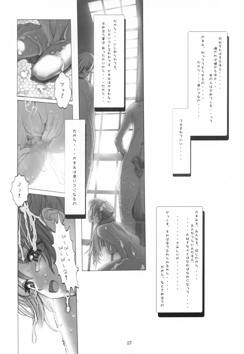 [RST Slave (Ebina Souichi)] Kasumi Hard Love 2 ver.2 (Dead or Alive) page 26 full