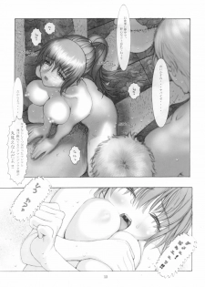 [RST Slave (Ebina Souichi)] Kasumi Hard Love 2 ver.2 (Dead or Alive) - page 12