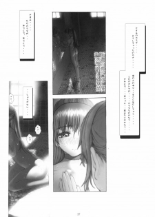 [RST Slave (Ebina Souichi)] Kasumi Hard Love 2 ver.2 (Dead or Alive) - page 16