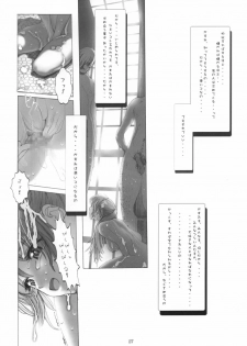 [RST Slave (Ebina Souichi)] Kasumi Hard Love 2 ver.2 (Dead or Alive) - page 26