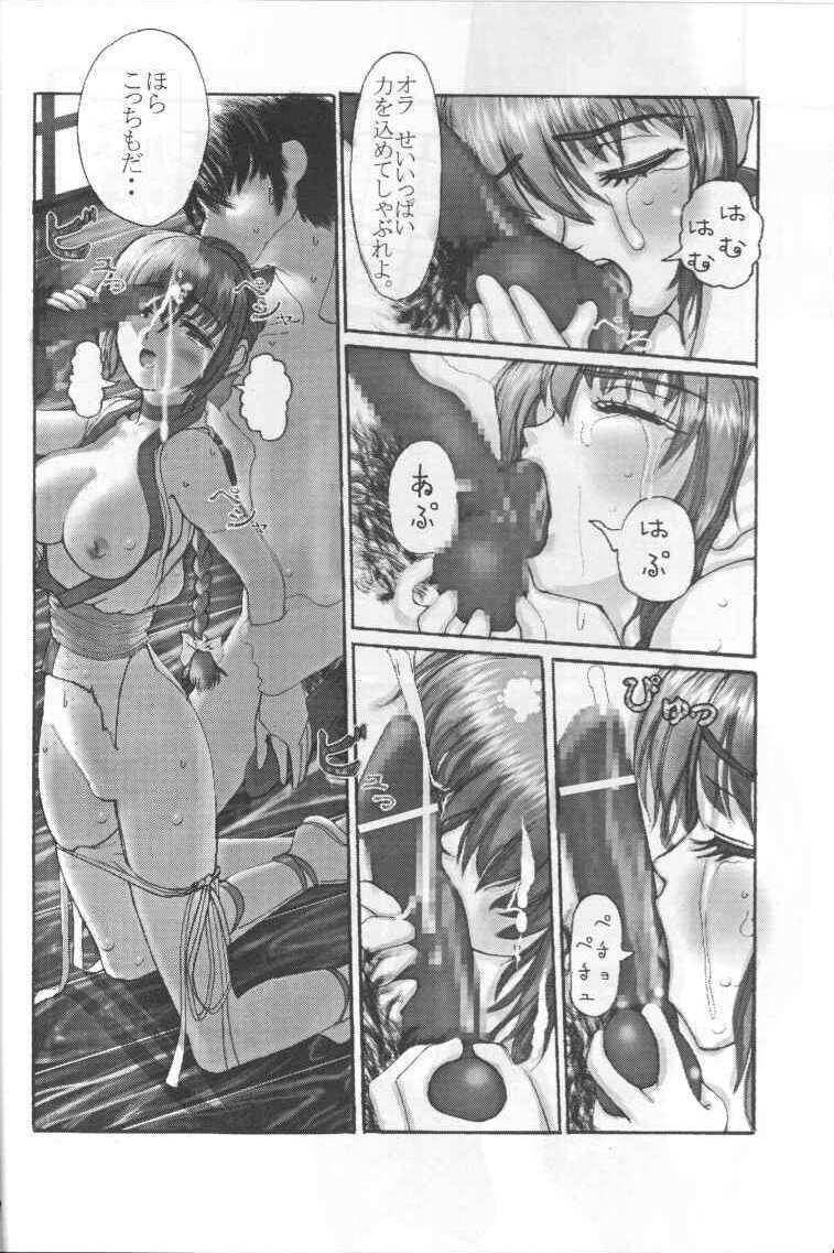 (C59) [RST Slave (Ebina Souichi)] Kasumi Hard Love (Dead or Alive) page 5 full