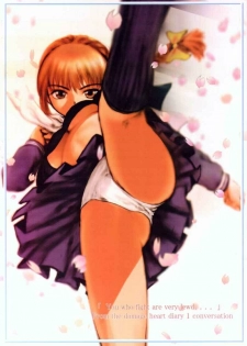 (C59) [RST Slave (Ebina Souichi)] Kasumi Hard Love (Dead or Alive) - page 34