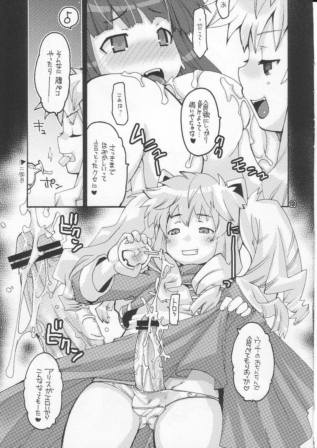 (C70) [Seinansei ni Kagayakeru Hoshi (Morino Papiko)] Ragnarok Yawa Level.8 (Ragnarok Online) page 12 full