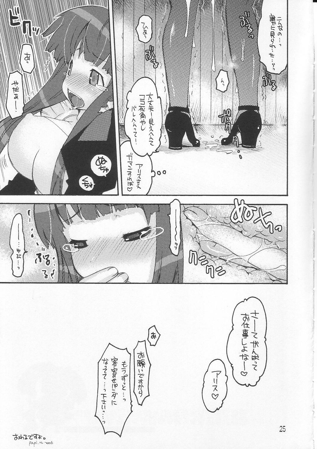 (C70) [Seinansei ni Kagayakeru Hoshi (Morino Papiko)] Ragnarok Yawa Level.8 (Ragnarok Online) page 24 full