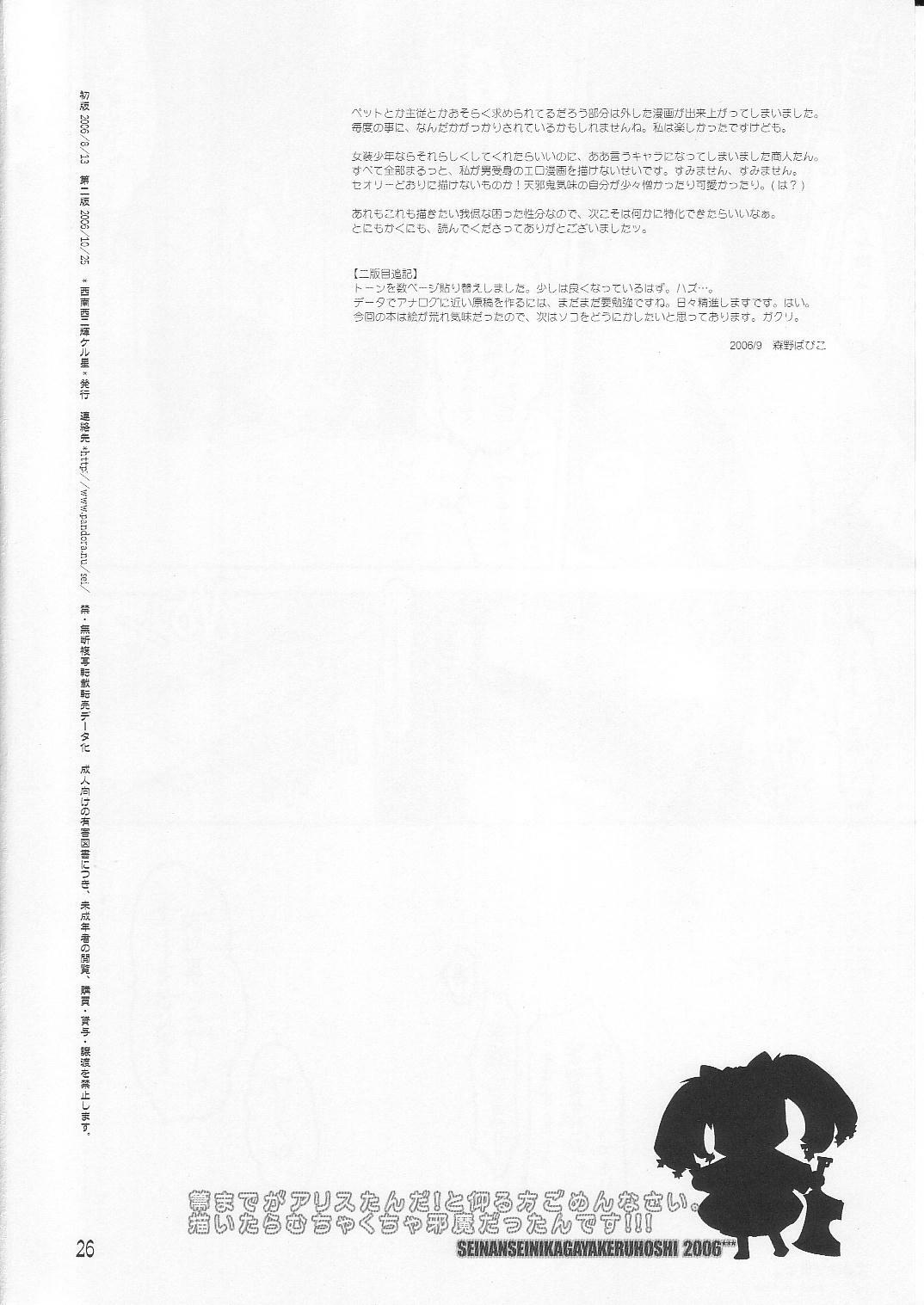 (C70) [Seinansei ni Kagayakeru Hoshi (Morino Papiko)] Ragnarok Yawa Level.8 (Ragnarok Online) page 25 full