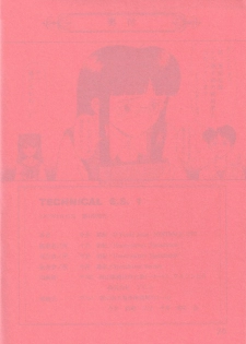(C52) [System Speculation (Imai Youki)] TECHNICAL S.S. 1 2nd Impression (Neon Genesis Evangelion) - page 29