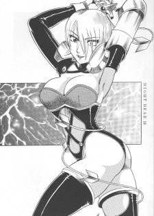 (C57) [Circle Taihei-Tengoku (Aratamaru)] NIGHT HEAD 10 (SoulCalibur, Viper GTS) [Incomplete] - page 2