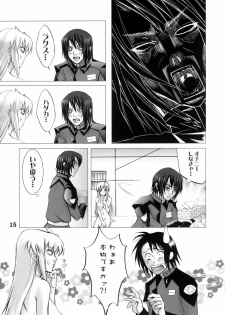 (C68) [DIGITAL ACCEL WORKS (INAZUMA.)] Super Freedom (Gundam SEED DESTINY) - page 14