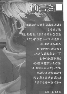(C68) [TAMARANCHI (Q-Gaku, Shinbo Tamaran)] Desire (Fate/stay night) - page 11