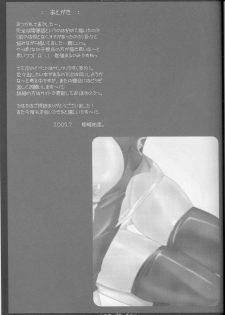 (C68) [Happy Water (Kizaki Yuuri)] Luna-tan to Issho (Gundam SEED Destiny) - page 24