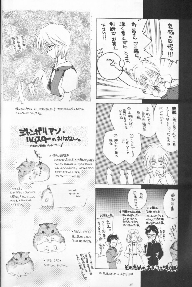 (CR20) [Hanzai Tengoku (Hasei Agana)] Kikei no Sakana (Neon Genesis Evangelion) page 18 full