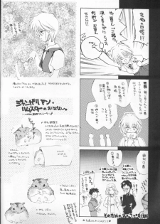 (CR20) [Hanzai Tengoku (Hasei Agana)] Kikei no Sakana (Neon Genesis Evangelion) - page 18