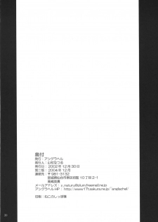 [Anglachel (Yamamura Natsuru)] Insanity (King of Fighters, Street Fighter) [2004-12] - page 29