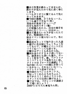(C58) [Secret Service (Dororon Ryuuchin)] Orange no Yuwaku (Final Fantasy IX) - page 22