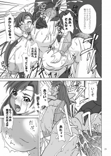 (SC31) [Anglachel (Yamamura Natsuru)] LAST BATTLE (Fantasm Soldier Valis) - page 28