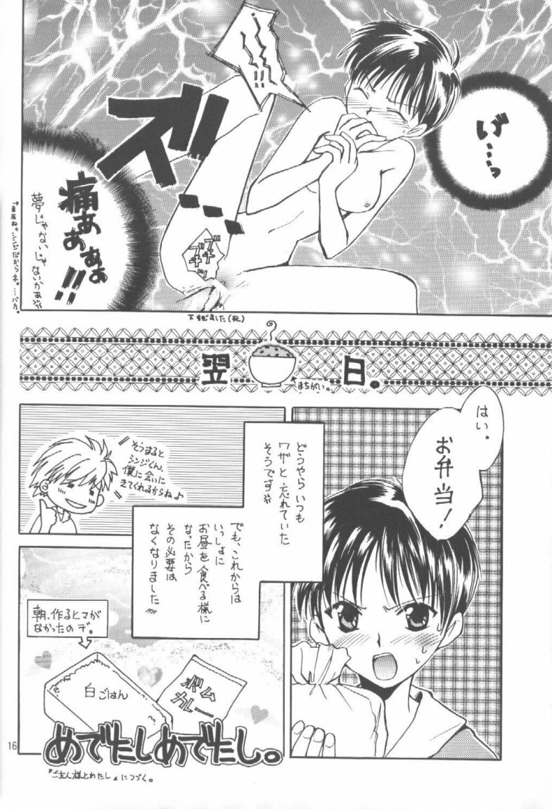 (C55) [Fairy Tale House (Phoenicia Masako)] Hasu Kriya (Neon Genesis Evangelion) page 15 full