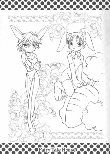 (C55) [Fairy Tale House (Phoenicia Masako)] Hasu Kriya (Neon Genesis Evangelion) - page 16