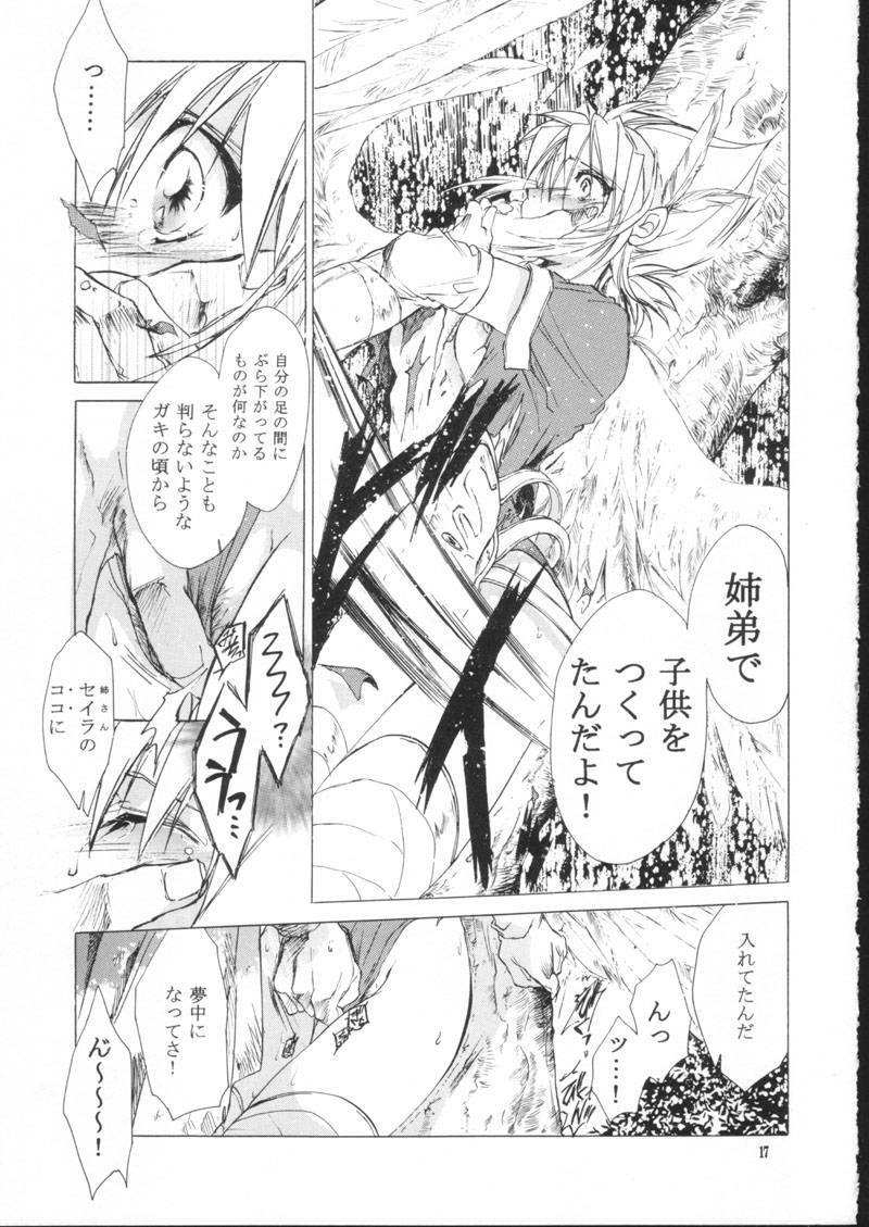 (C61) [Toko-ya (HEIZO, Kitoen)] side:NINA - Ryuu no Me no Fuukei ~ second (Breath Of Fire) page 17 full