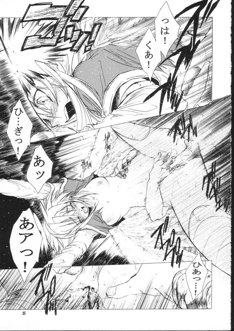 (C61) [Toko-ya (HEIZO, Kitoen)] side:NINA - Ryuu no Me no Fuukei ~ second (Breath Of Fire) page 25 full