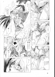 (C61) [Toko-ya (HEIZO, Kitoen)] side:NINA - Ryuu no Me no Fuukei ~ second (Breath Of Fire) - page 20