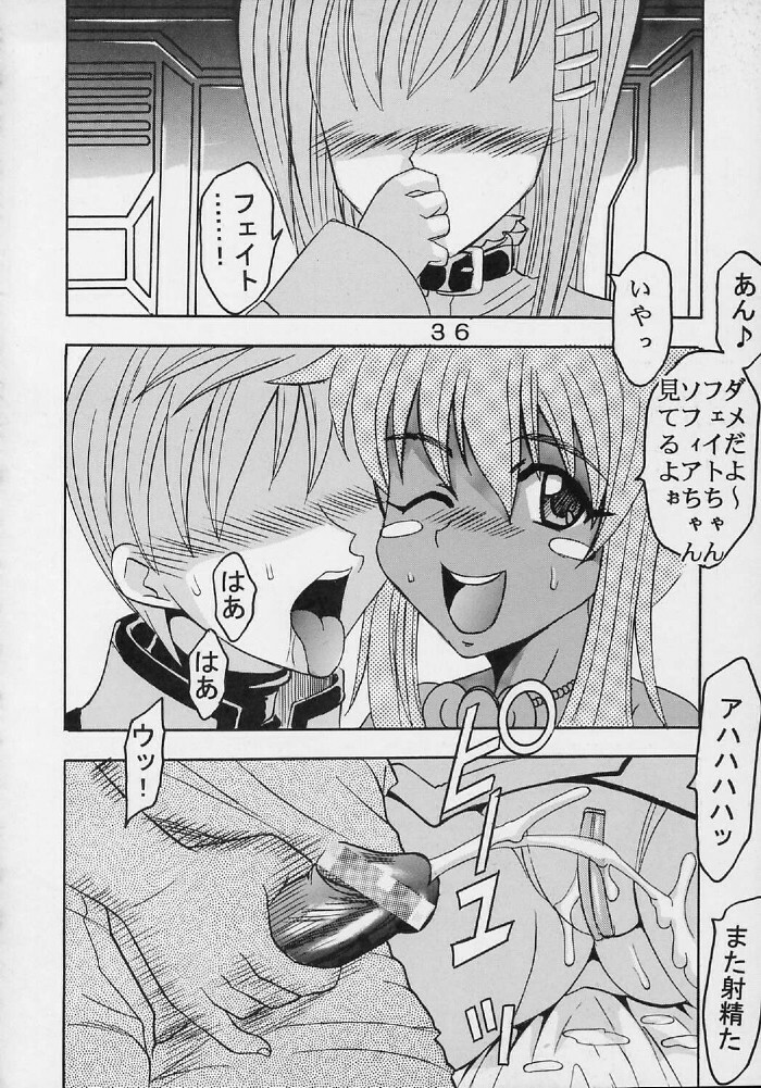 (SC19) [St. Rio (Ishikawa Jippei, Kitty)] Private Action Act. 2 (Star Ocean 3) page 37 full