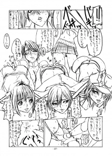 (C68) [Sekai Kakumei Club (Ozawa Reido)] SATISFACTION GORILLA! GORILLA! GORILLA! (Rumble Roses) - page 24