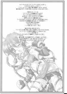 [HYPER BRAND (Ishihara Masumi)] Operation RAGNAROK CUTIE CHASER (Ragnarok Online) - page 11