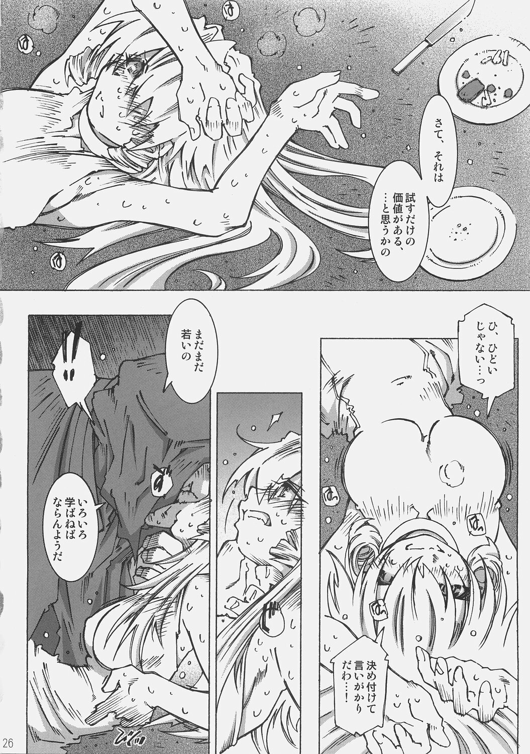 [OPEN BOOK (Toumi Haruka)] Dive Into The Night (Scrapped Princess) page 25 full